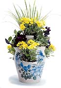 Strawberry Planter